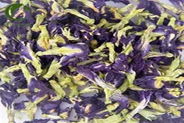 تصویر 4 از فروش گل گاوزبان تازه + قیمت خرید به صرفه